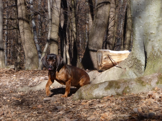 slane mi chutííí....