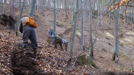 aby sa pekne chodilo...