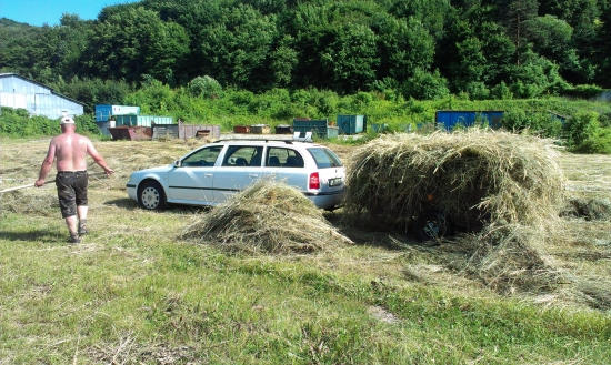 seno dela hezka tela