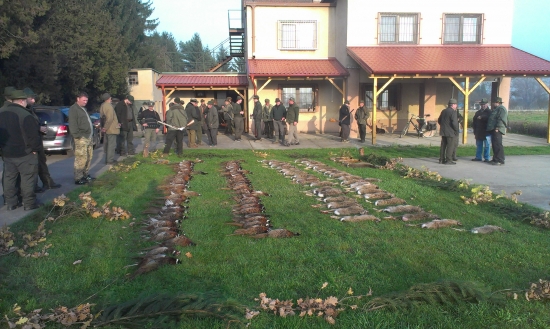 krasna polovacka,zajac,bazant