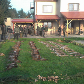 krasna polovacka,zajac,bazant