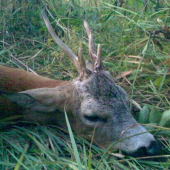 kamarátov z vlaňajšku