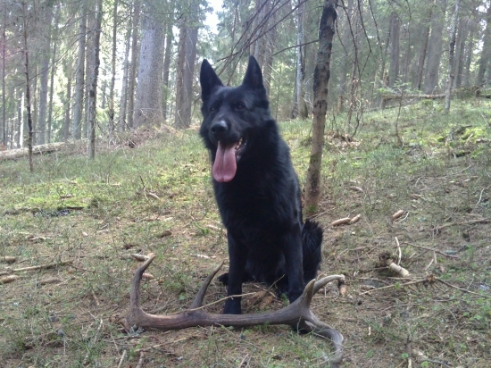 Dvanácterák a  Xac