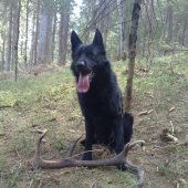 Dvanácterák a  Xac