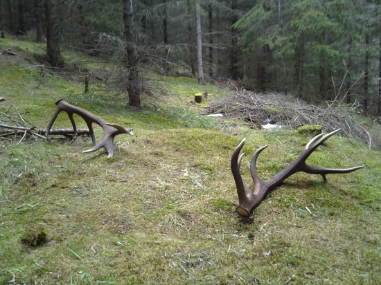 Otcův nerovný šestnácterák