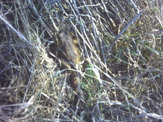 uz vonku zo šachty..