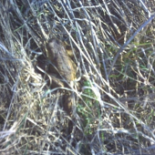 uz vonku zo šachty..