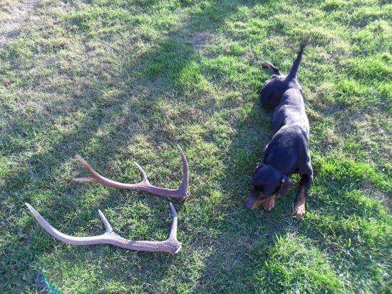 Aj mne sa páčia :D