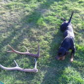 Aj mne sa páčia :D