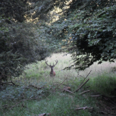 Taký lepší 10-torák