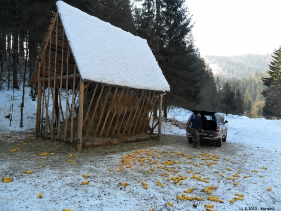Dneskajšia brigáda+prikrmovanie