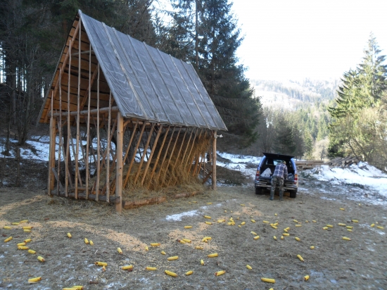 Dneskajšia brigáda+prikrmovanie