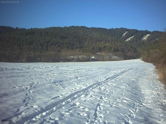 je tam liska..:Dpre dobre oci..