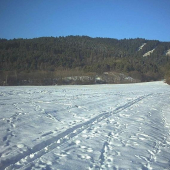 je tam liska..:Dpre dobre oci..