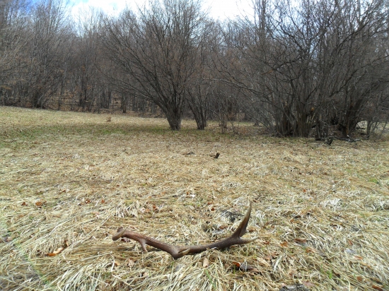 Tatov dneskajší 12 torák