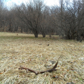 Tatov dneskajší 12 torák