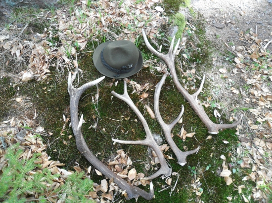 Dneskajšie šťastie s tatom :)