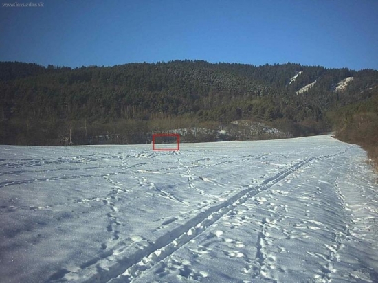 ID fotografie: 16053