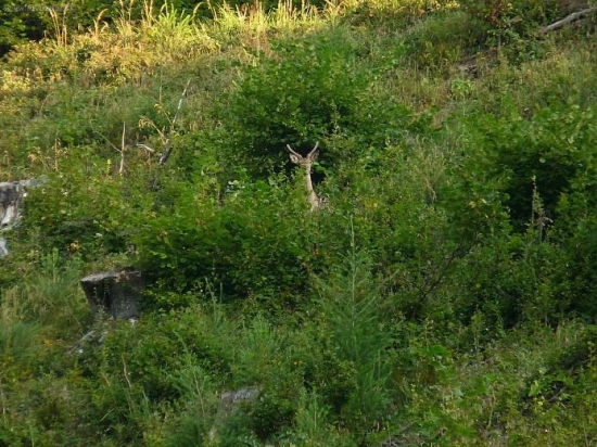 Včerajšia fotka m-a-j-l-a..:)