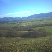moj rajon na lisky.. :D