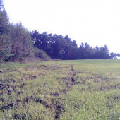 ..som sa siel prejt nebral som si fotak tak iba z mobilu..