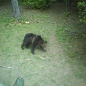 Nepríjemné prekvapenie kamošovho otca..