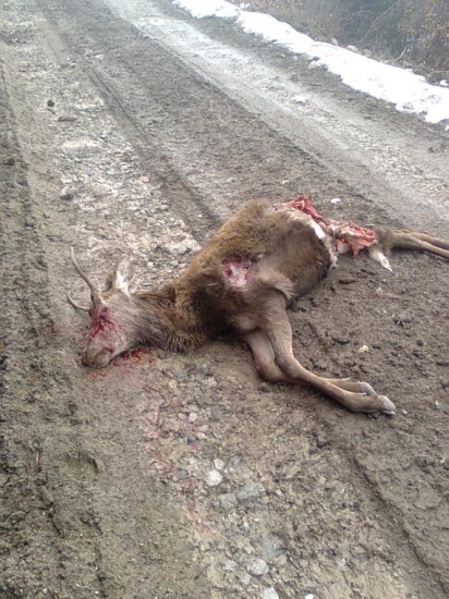 a je cesta do roboty zabarikadovaná..