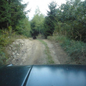 Prekvapenie kamoša cestou na poľovačku..