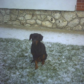 slovensky kopov(alex)