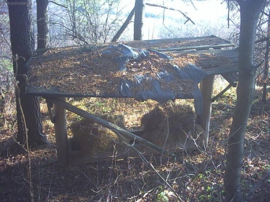 rozpadnuty ale sluzi