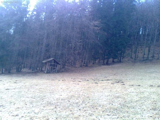 Krmelček pri lúčke