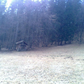 Krmelček pri lúčke