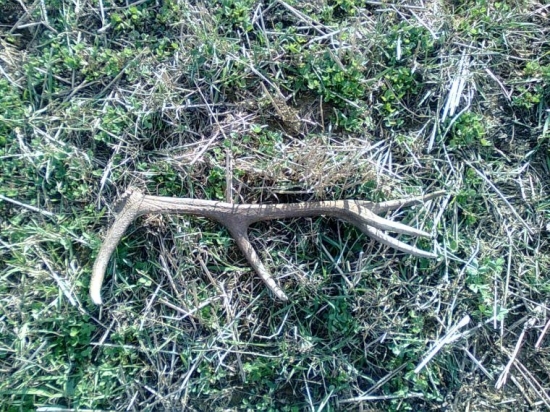 Môj dneskajší,najsilnejší