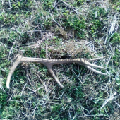 Môj dneskajší,najsilnejší