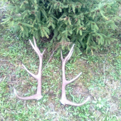 Už doparené-ďakujem všetkým čo sa na tom zúčastnili..