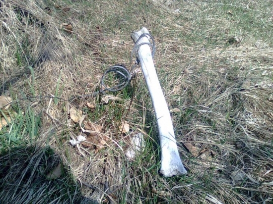 úmysel či náhoda??