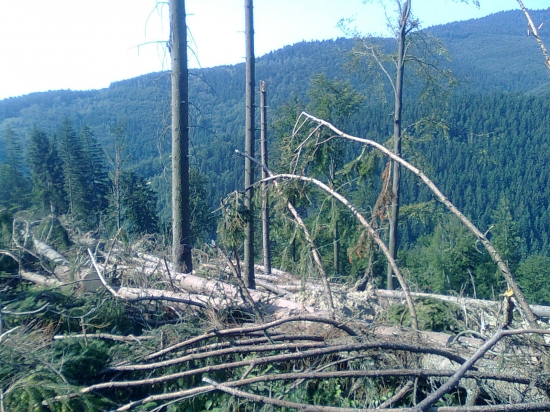 Je to bolesť na to pozerať ale aspoň je robota..