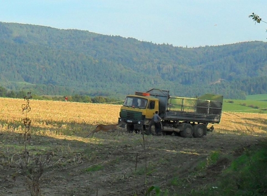 Z ničoho nič