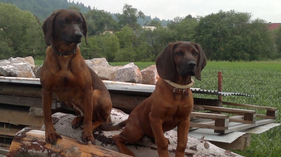 Ala od Velickeho potoka a Fargo od Juraja