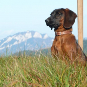 Ala od Velickeho potoka