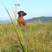 Ala od Velickeho potoka