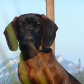 Ala od Velickeho potoka 2