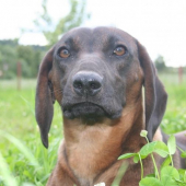 Ala od Velickeho potoka