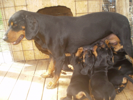 Na raňajky si dáme mliečko