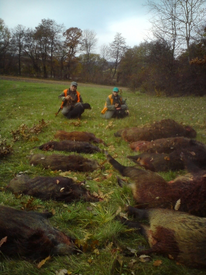 Dobre odvedená práca našich Kopoviek