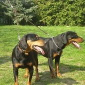 Lesy z Prievrany a Cara Biela studňa (matka s dcérou)