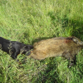 Úspešná posliedka s Carou Biela studňa