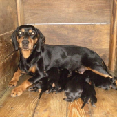 Prírastok do chovnej stanice Biela studňa