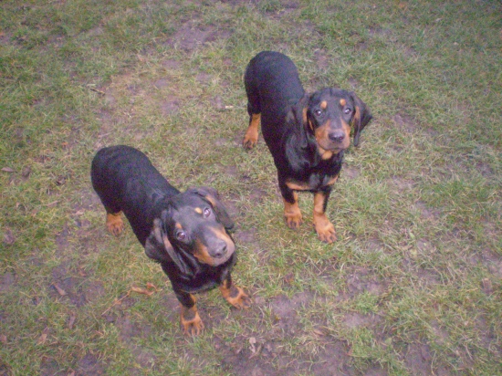 Hesi a Haro Biela studňa