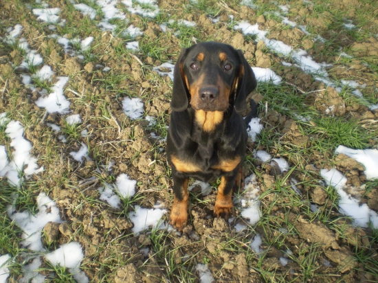 Čakanie na odmenu (Hesi Biela studňa)